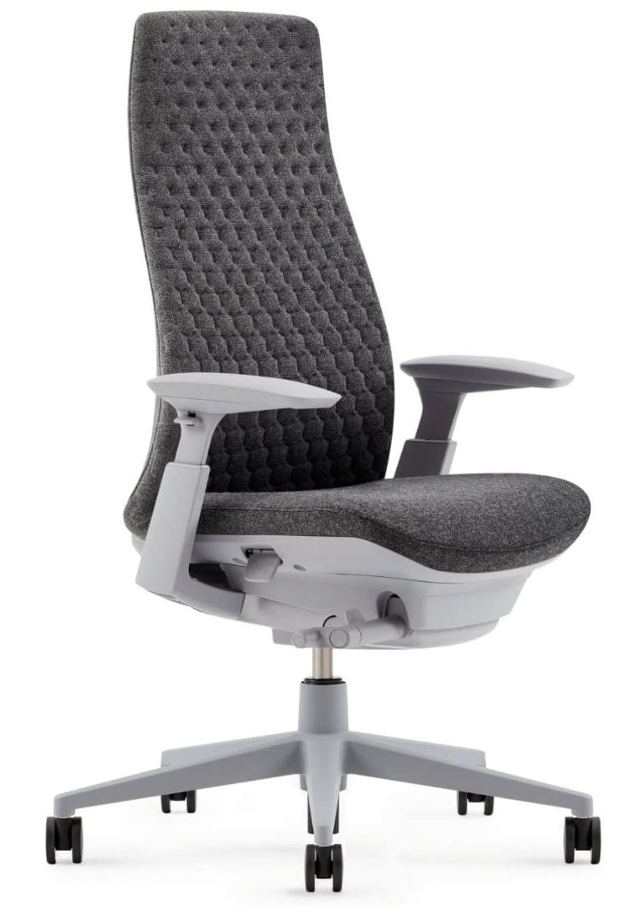 Haworth Fern Ergonomic Office Chair